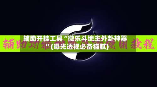 辅助开挂工具“微乐斗地主外卦神器”(曝光透视必备猫腻)-第2张图片