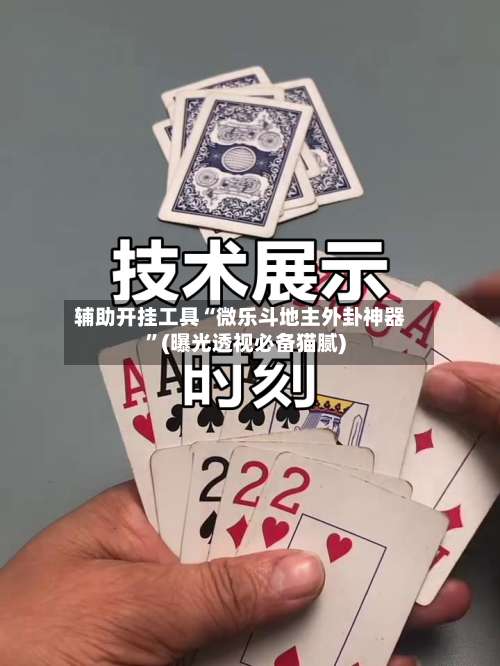 辅助开挂工具“微乐斗地主外卦神器”(曝光透视必备猫腻)-第1张图片