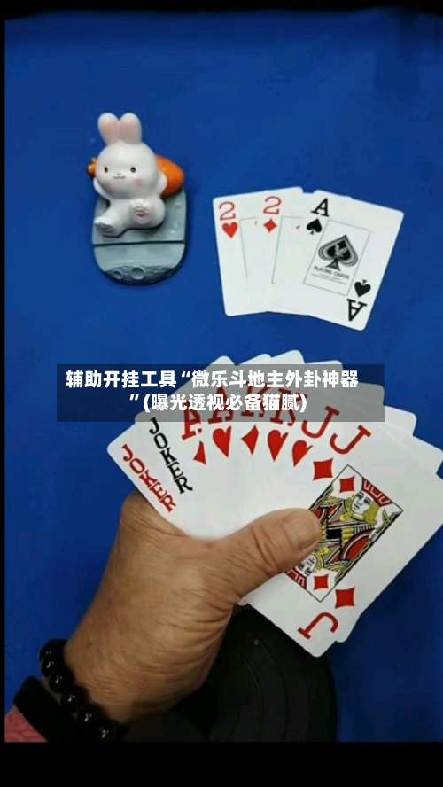 辅助开挂工具“微乐斗地主外卦神器	”(曝光透视必备猫腻)-第3张图片