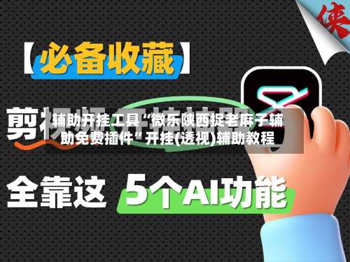 辅助开挂工具“微乐陕西捉老麻子辅助免费插件”开挂(透视)辅助教程-第2张图片