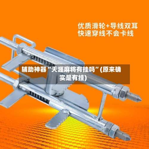 辅助神器“天涯麻将有挂吗”(原来确实是有挂)-第1张图片