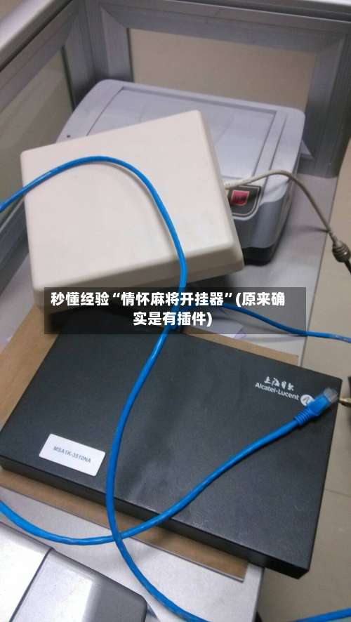 秒懂经验“情怀麻将开挂器”(原来确实是有插件)-第2张图片