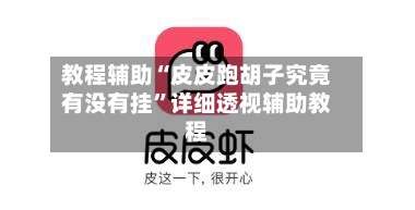 教程辅助“皮皮跑胡子究竟有没有挂	”详细透视辅助教程-第2张图片