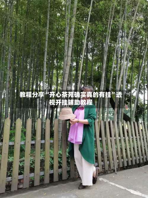 教程分享“开心茶苑确实真的有挂	”透视开挂辅助教程-第3张图片