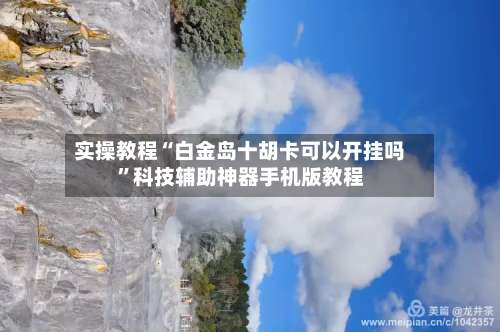 实操教程“白金岛十胡卡可以开挂吗”科技辅助神器手机版教程-第2张图片