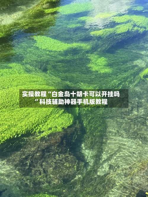 实操教程“白金岛十胡卡可以开挂吗	”科技辅助神器手机版教程-第1张图片