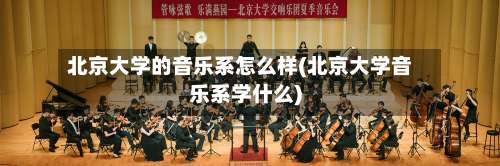 北京大学的音乐系怎么样(北京大学音乐系学什么)-第3张图片