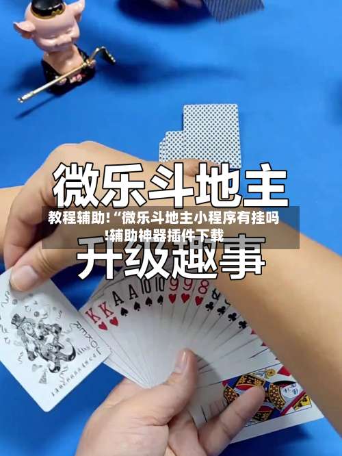 教程辅助!“微乐斗地主小程序有挂吗!辅助神器插件下载-第2张图片