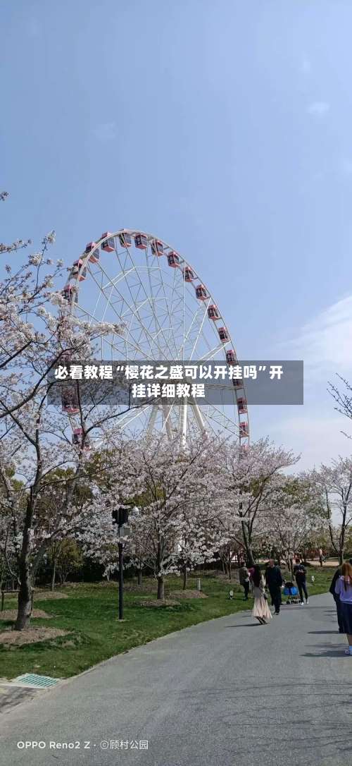 必看教程“樱花之盛可以开挂吗”开挂详细教程-第2张图片