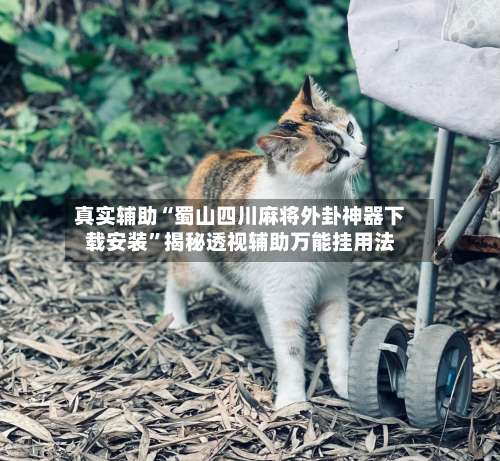 真实辅助“蜀山四川麻将外卦神器下载安装”揭秘透视辅助万能挂用法-第2张图片