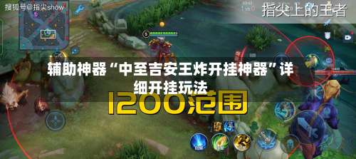 辅助神器“中至吉安王炸开挂神器”详细开挂玩法-第3张图片