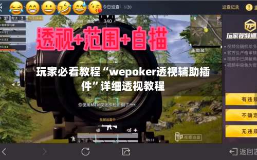 玩家必看教程“wepoker透视辅助插件	”详细透视教程-第2张图片