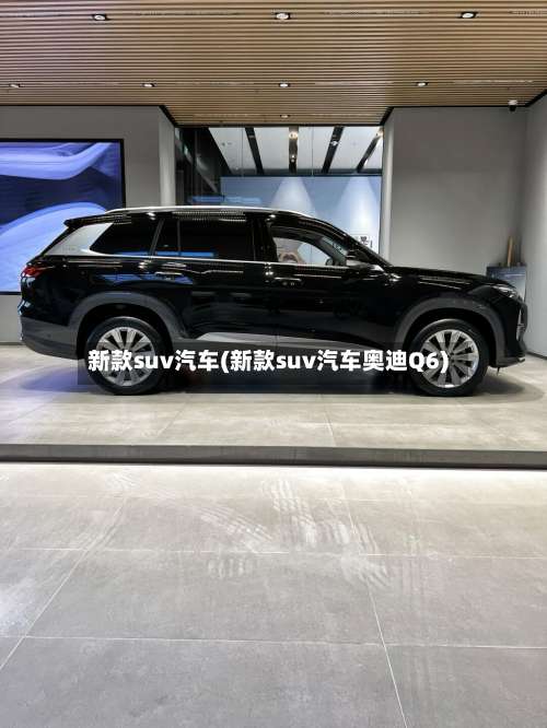 新款suv汽车(新款suv汽车奥迪Q6)-第2张图片