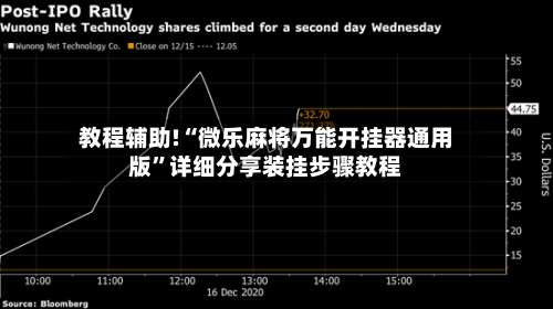 教程辅助!“微乐麻将万能开挂器通用版”详细分享装挂步骤教程-第3张图片