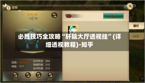 必胜技巧全攻略“轩辕大厅透视挂”(详细透视教程)-知乎-第3张图片