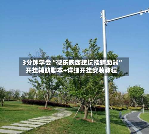 3分钟学会“微乐陕西挖坑挂辅助器”开挂辅助脚本+详细开挂安装教程-第3张图片