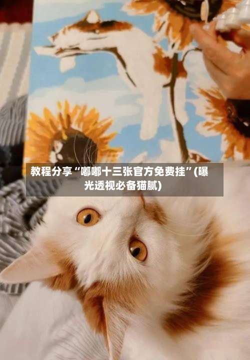 教程分享“嘟嘟十三张官方免费挂”(曝光透视必备猫腻)-第2张图片