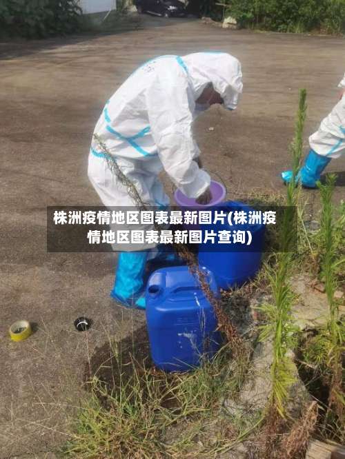 株洲疫情地区图表最新图片(株洲疫情地区图表最新图片查询)-第1张图片