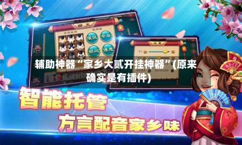 辅助神器“家乡大贰开挂神器	”(原来确实是有插件)-第1张图片