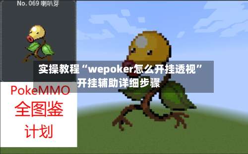 实操教程“wepoker怎么开挂透视”开挂辅助详细步骤-第1张图片