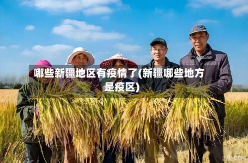 哪些新疆地区有疫情了(新疆哪些地方是疫区)-第2张图片