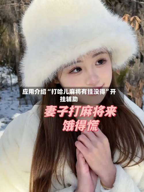 应用介绍“打哈儿麻将有挂没得”开挂辅助-第3张图片