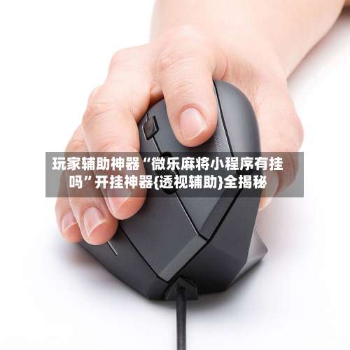 玩家辅助神器“微乐麻将小程序有挂吗”开挂神器{透视辅助}全揭秘-第2张图片