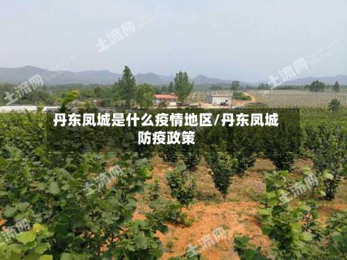 丹东凤城是什么疫情地区/丹东凤城防疫政策-第3张图片