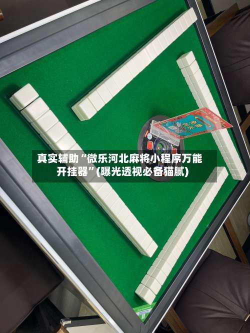 真实辅助“微乐河北麻将小程序万能开挂器”(曝光透视必备猫腻)-第1张图片
