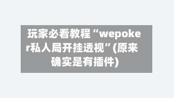 玩家必看教程“wepoker私人局开挂透视”(原来确实是有插件)-第2张图片