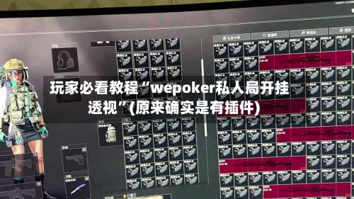 玩家必看教程“wepoker私人局开挂透视”(原来确实是有插件)-第3张图片