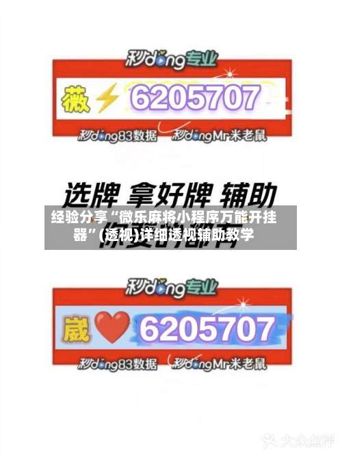 经验分享“微乐麻将小程序万能开挂器”(透视)详细透视辅助教学-第1张图片