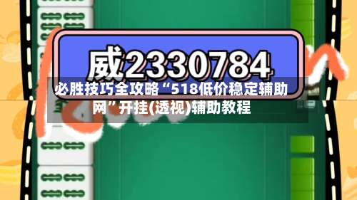 必胜技巧全攻略“518低价稳定辅助网	”开挂(透视)辅助教程-第1张图片