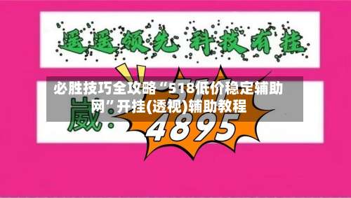 必胜技巧全攻略“518低价稳定辅助网”开挂(透视)辅助教程-第3张图片