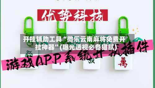 开挂辅助工具“微乐云南麻将免费开挂神器”(曝光透视必备猫腻)-第3张图片