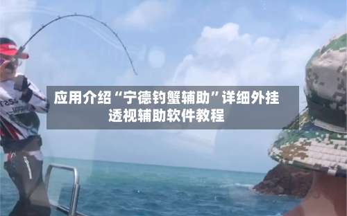 应用介绍“宁德钓蟹辅助	”详细外挂透视辅助软件教程-第2张图片