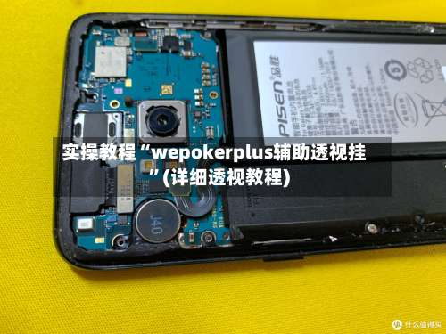 实操教程“wepokerplus辅助透视挂”(详细透视教程)-第1张图片