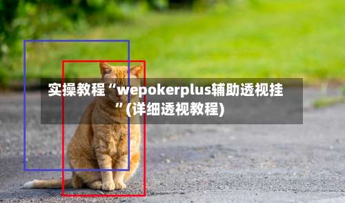 实操教程“wepokerplus辅助透视挂”(详细透视教程)-第2张图片