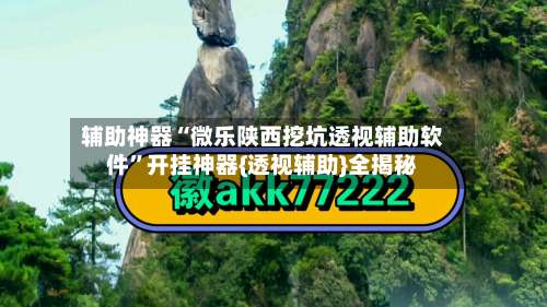 辅助神器“微乐陕西挖坑透视辅助软件”开挂神器{透视辅助}全揭秘-第2张图片