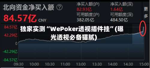 独家实测“WePoker透视插件挂”(曝光透视必备猫腻)-第1张图片