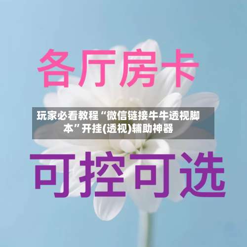 玩家必看教程“微信链接牛牛透视脚本	”开挂(透视)辅助神器-第2张图片