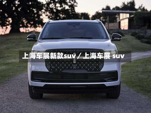 上海车展新款suv／上海车展 suv-第2张图片