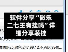 软件分享“微乐二七王有挂吗”详细分享装挂-第3张图片