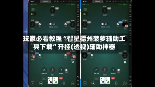 玩家必看教程“智星德州菠萝辅助工具下载”开挂(透视)辅助神器-第2张图片