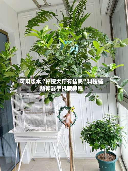 可用版本“柠檬大厅有挂吗”科技辅助神器手机版教程-第2张图片