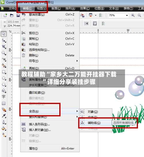 教程辅助“家乡大二万能开挂器下载	”详细分享装挂步骤-第2张图片