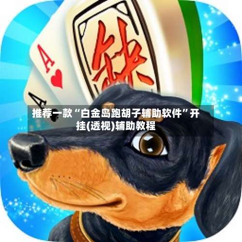 推荐一款“白金岛跑胡子辅助软件”开挂(透视)辅助教程-第3张图片