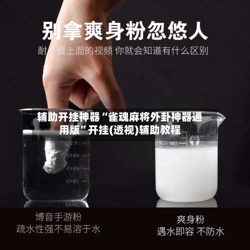 辅助开挂神器“雀魂麻将外卦神器通用版”开挂(透视)辅助教程-第2张图片