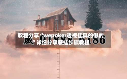 教程分享“wepoker透视挂真的假的”详细分享装挂步骤教程-第1张图片