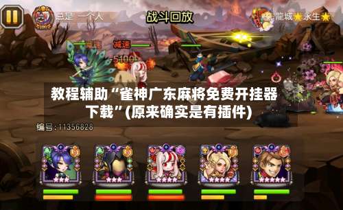 教程辅助“雀神广东麻将免费开挂器下载”(原来确实是有插件)-第2张图片